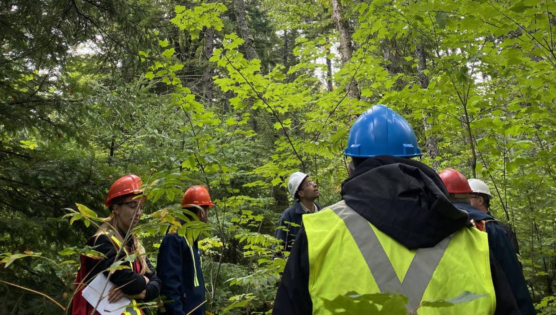 Programme d’aménagement durable des forêts (PADF) : appel à projets pour 2025-26 Visite du terrain d’Amélie Denoncourt
