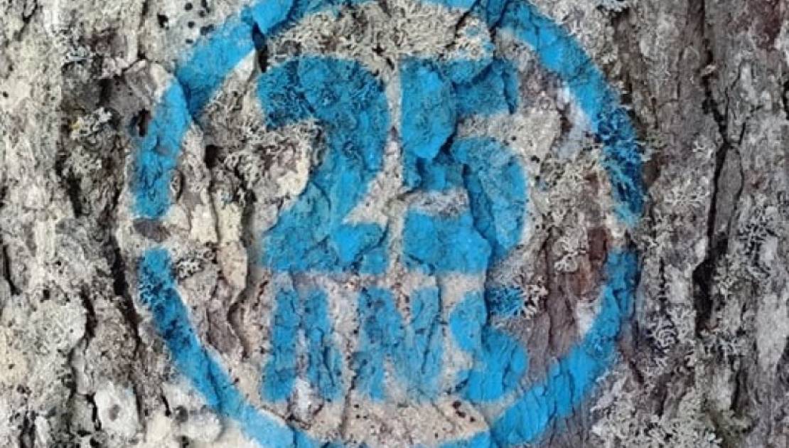Les randonneurs mis au défi pour les 25 ans du Parc des Appalaches Les logos en question. (Via le site Internet du Parc des Appalaches)