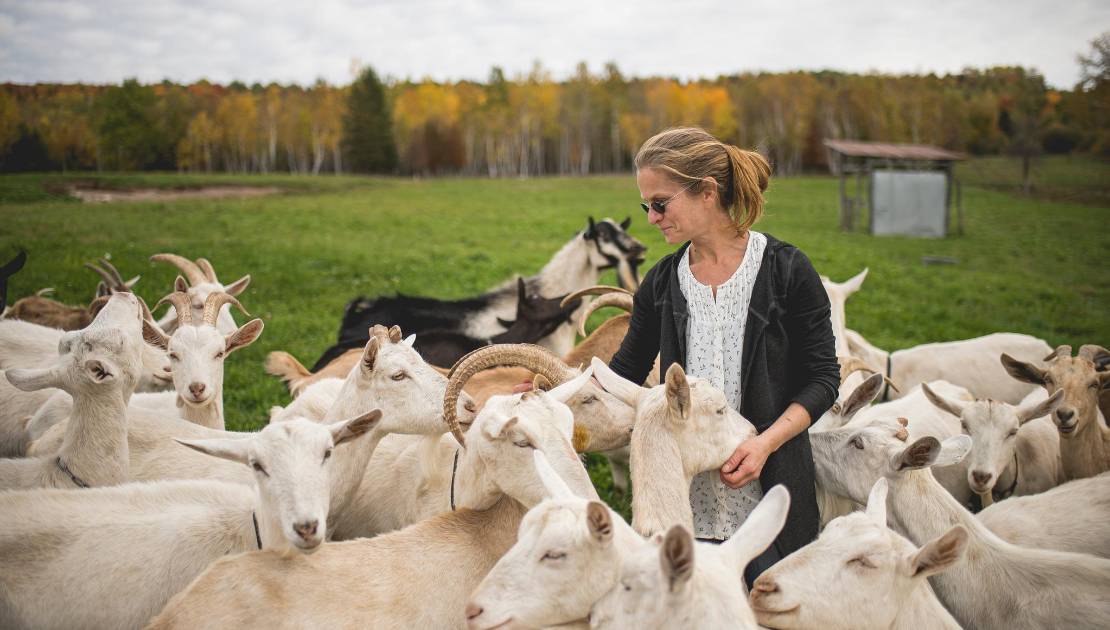 Deux promenades gourmandes pour découvrir Montmagny et les Îles Fromagerie Les Vagabondes (Crédit photo: JHA Photographie)