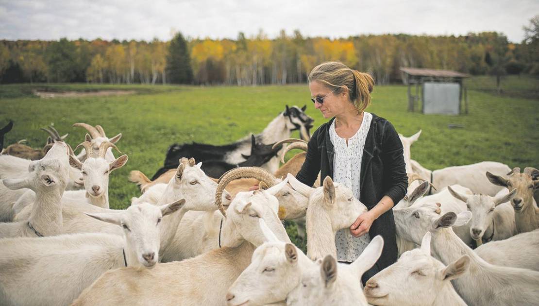 Deux promenades gourmandes pour découvrir Montmagny et les Îles Fromagerie Les Vagabondes (Crédit photo: JHA Photographie)