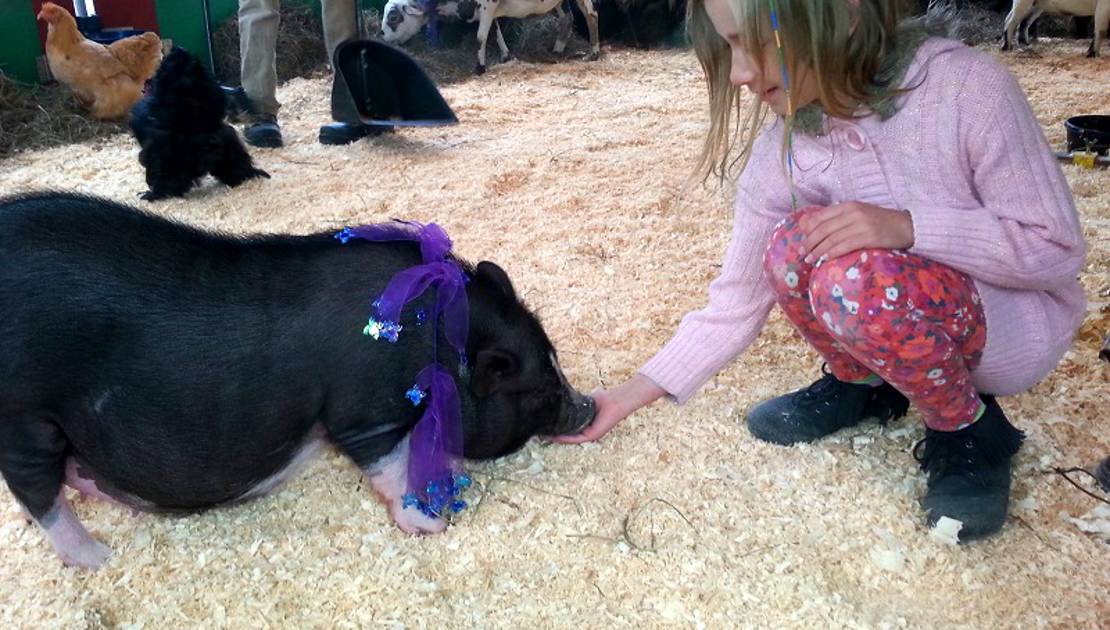 Une mini-ferme pour la célébration de Pâques à la place Montel (Crédit photo: Ferme Napolie)