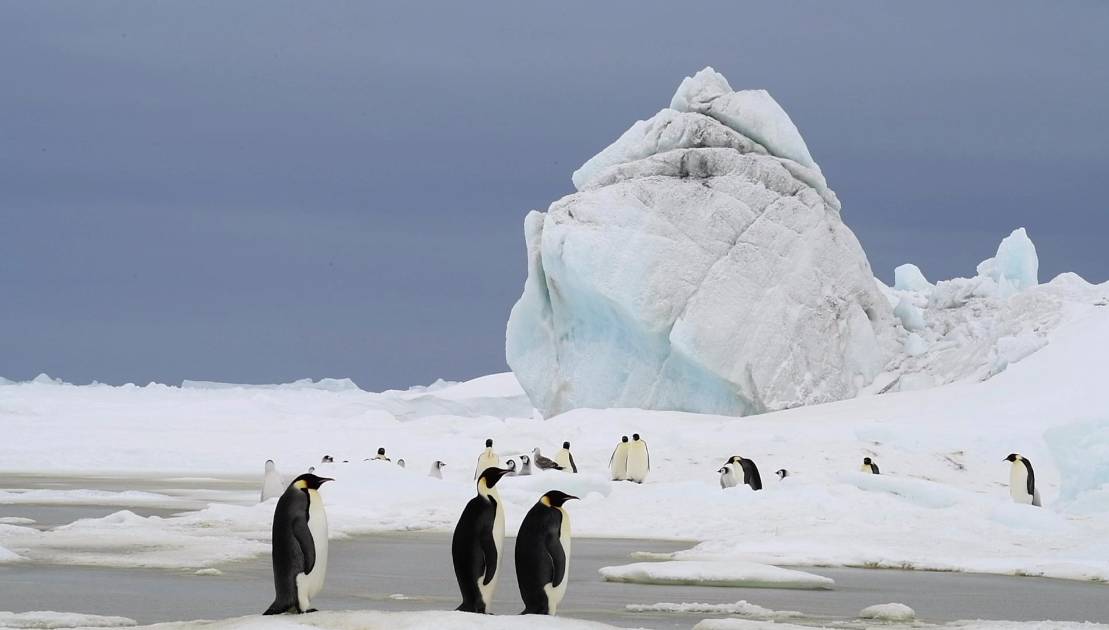 Un film sur l’Antarctique à l’affiche à Montmagny Des images sublimes vous attendent. Photo de courtoisie.
