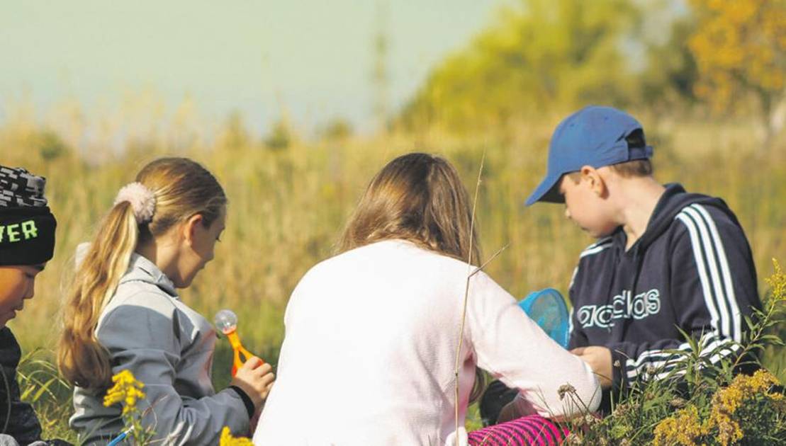 Le Semoir : Un sixième appel de candidation pour les écoles en Côte-du-Sud Photo de courtoisie.