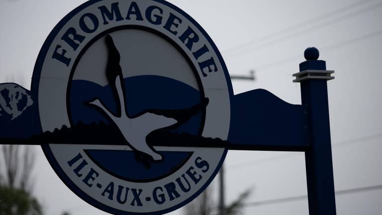 Un début de saison touristique difficile à l’Isle-aux-Grues $!Un début de saison touristique difficile à l’Isle-aux-Grues