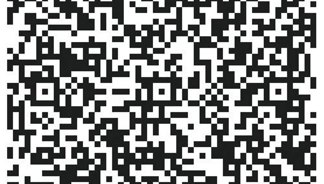 275 paniers de Noël distribués aux personnes dans le besoin