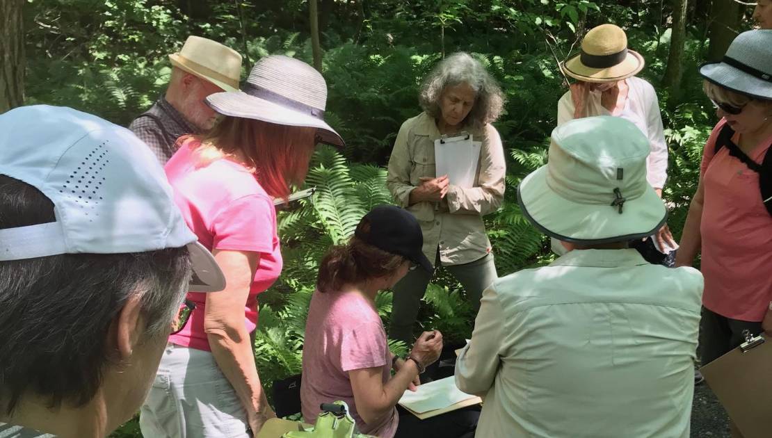 Crédit photo: Nathalie St-Pierre.