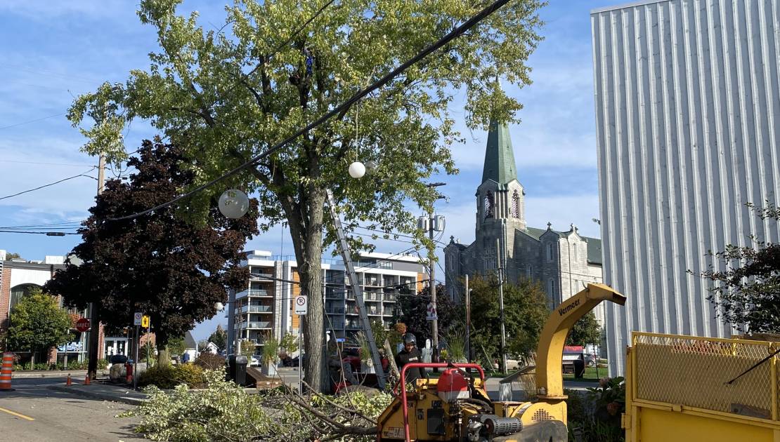 La Ville demande aux citoyens d’élaguer leurs arbres avant l’hiver