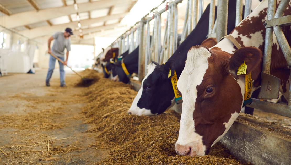 La CCIM souhaite plus de soutien pour les producteurs agroalimentaires de la région