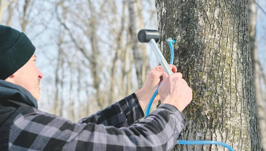 Crédit photo: PPAQ.