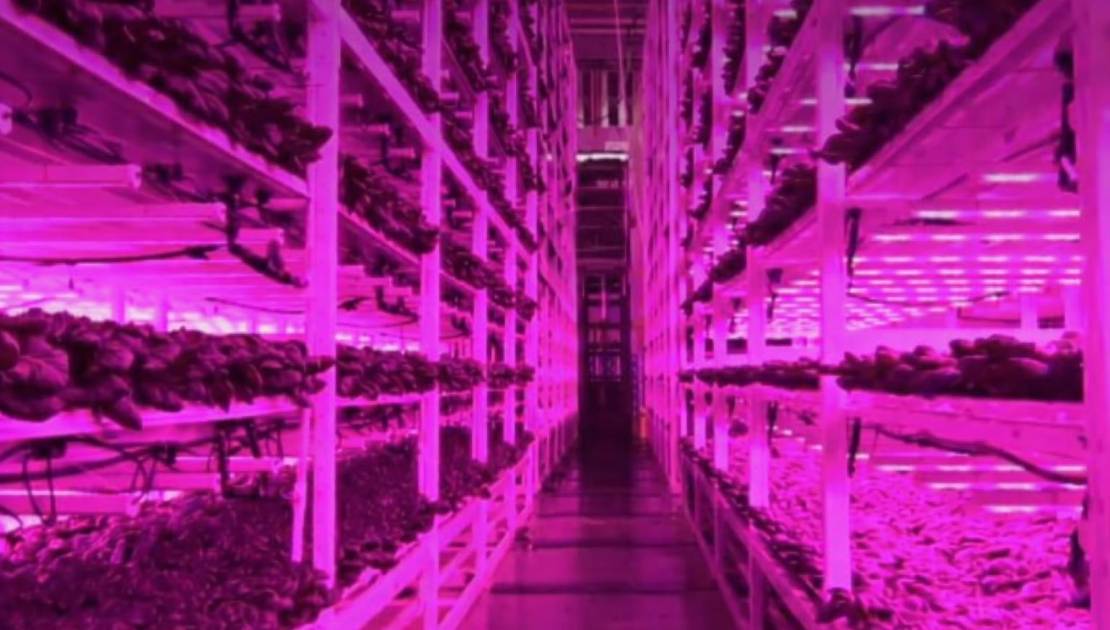 Crédit photo : Site web de Montel.