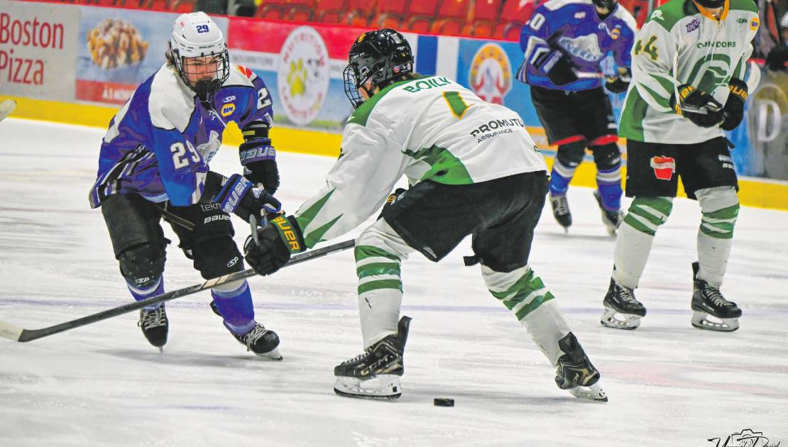 Victor Poulin a enfilé un but contre les Cobras de Terrebonne. Crédit photo : Yannick David.