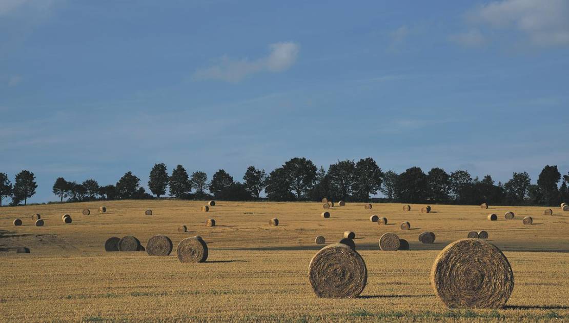 Crédit photo : Pixabay.