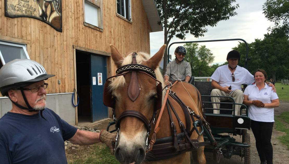 Le Centre d’équithérapie La Remontée de Saint-Jean-Port-Joli bénéficiera du programme d’Emplois d’été.