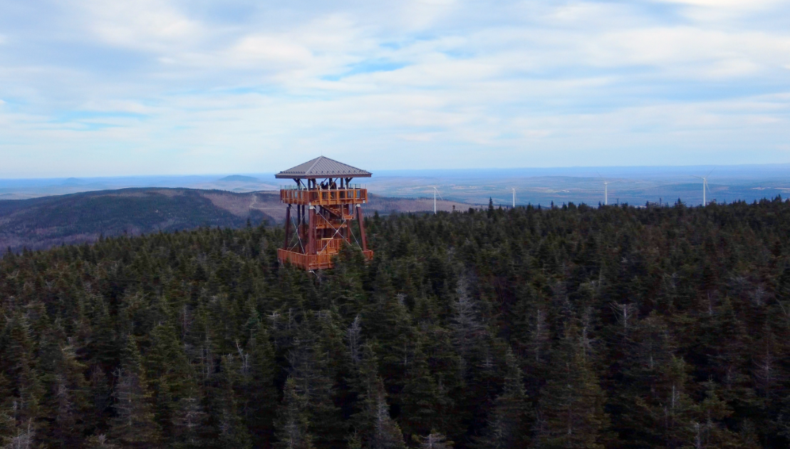 Photo : Parc du Massif du Sud.