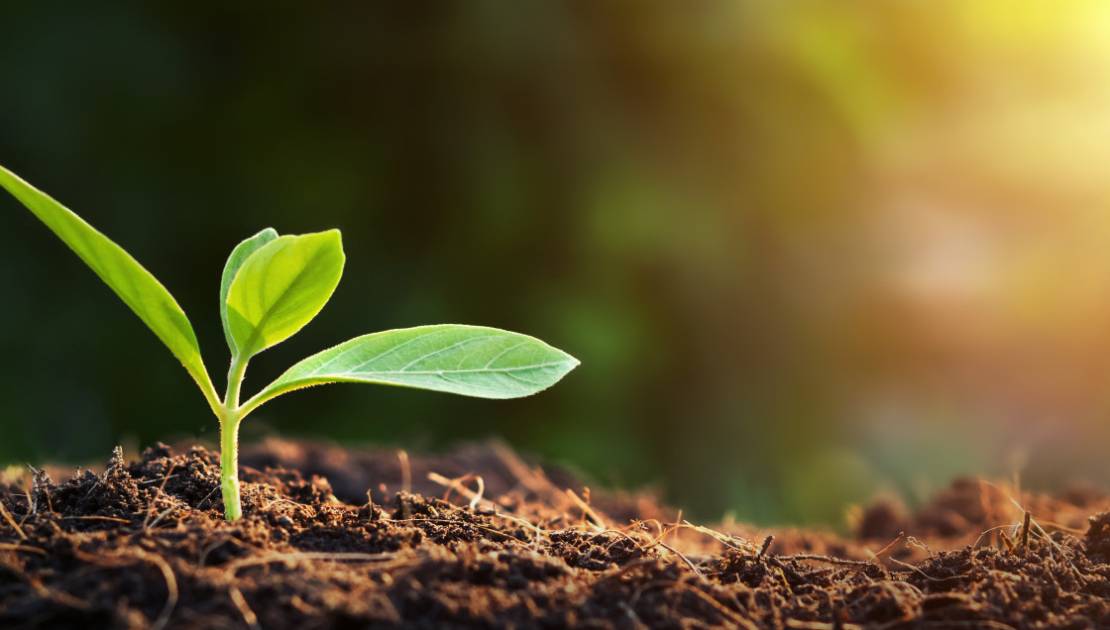 Un Atelier Agricole pour les nouveaux entrepreneurs dans le domaine