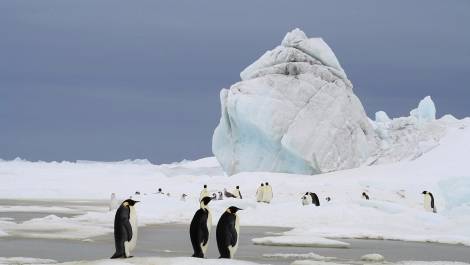 Des images sublimes vous attendent. Photo de courtoisie.