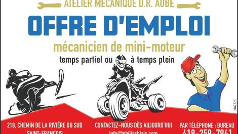 Mécanicien de mini-moteur