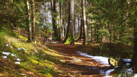 Le Domaine de Gaspé renaît