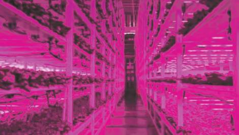 Crédit photo : Site web de Montel.