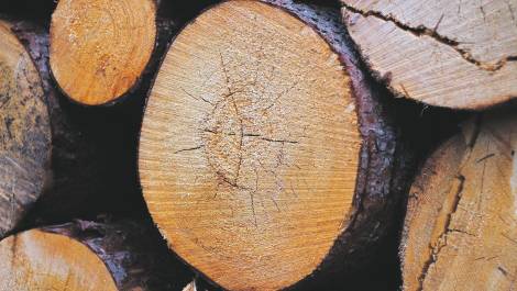 La Cour Supérieure donne raison au Syndicat des producteurs de bois de la Côte-du-Sud