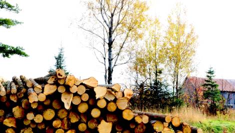 Une étape cruciale vers la mise en marché collective du bois de sciage et déroulage