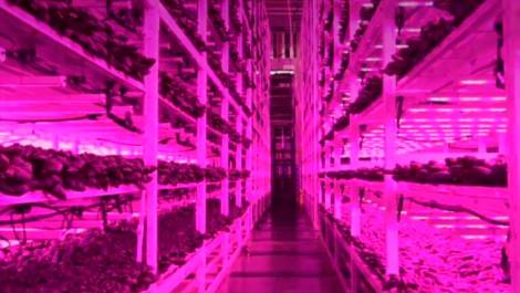 Crédit photo : Site web de Montel.