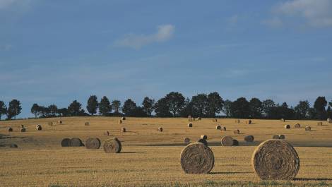 Crédit photo : Pixabay.