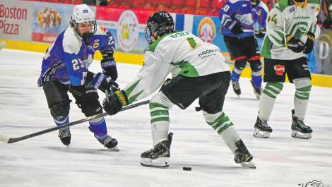 Victor Poulin a enfilé un but contre les Cobras de Terrebonne. Crédit photo : Yannick David.