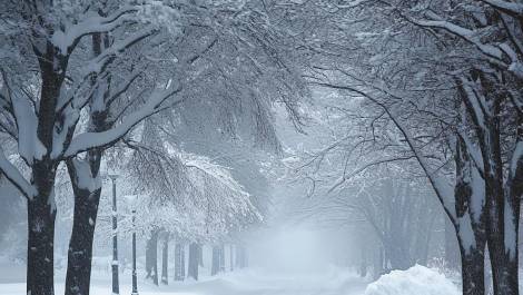 La neige n’a pas dit son dernier mot