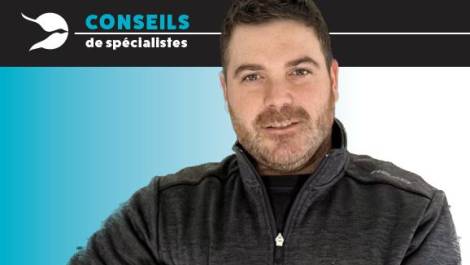William D. Clavet, Projets Novex