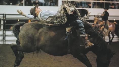 Sortez vos chapeaux, le rodéo débarque à Montmagny