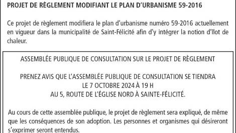DE CONSULTATION