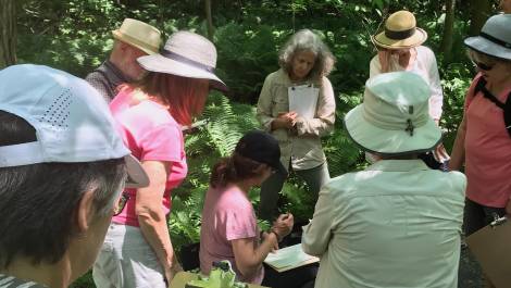 Crédit photo: Nathalie St-Pierre.