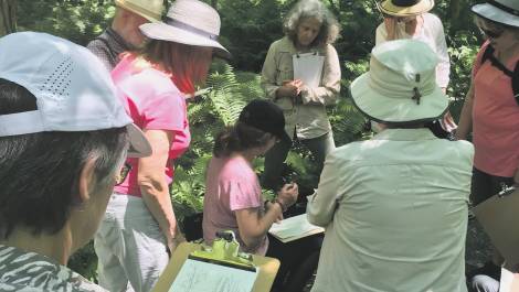 Crédit photo: Nathalie St-Pierre.