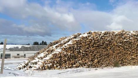 La Régie reporte le Règlement d’agence de vente du bois de sciage et de déroulage