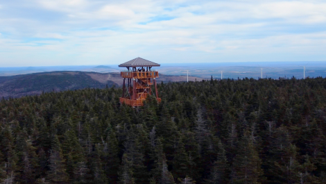 Photo : Parc du Massif du Sud.
