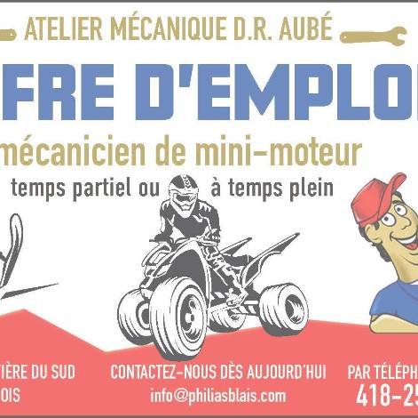 Mécanicien de mini-moteur