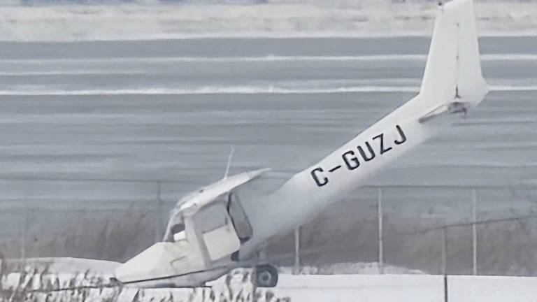 Crédit photo : Rick CapstickBullyz