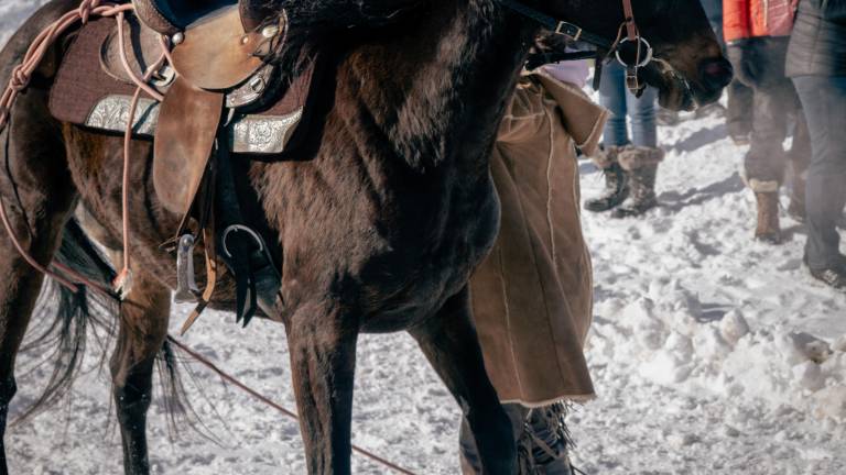 $!Photo: Gaëlle Sévigny.