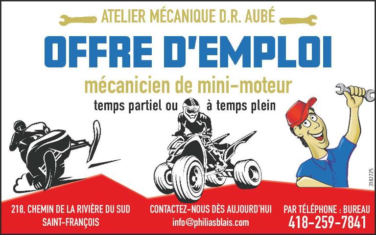 Mécanicien de mini-moteur