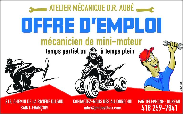 Mécanicien de mini-moteur