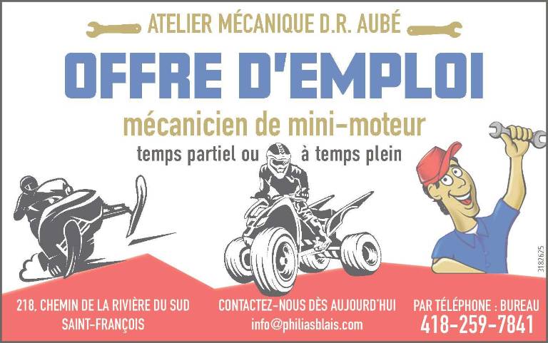Mécanicien de mini-moteur