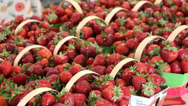 $!Une foule de produits locaux au Marché public de Montmagny