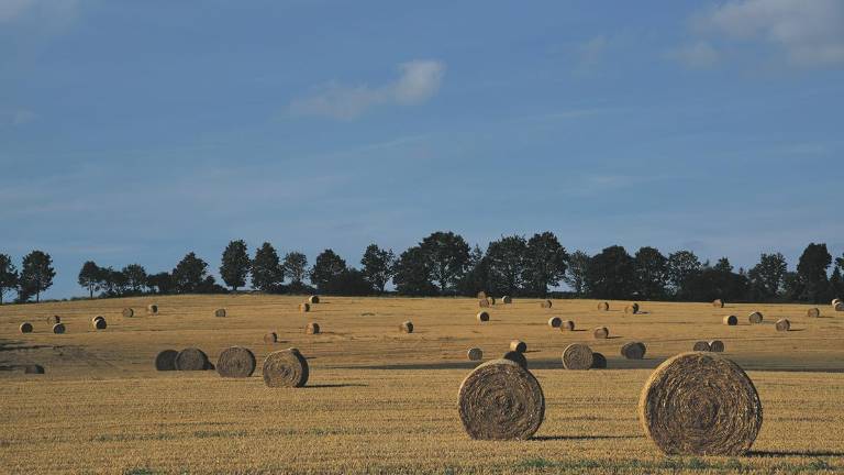 Crédit photo : Pixabay.