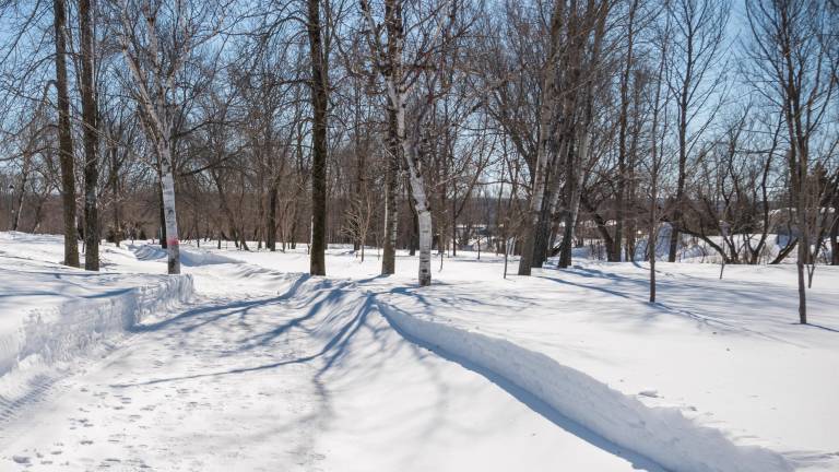 Photo de courtoisie.