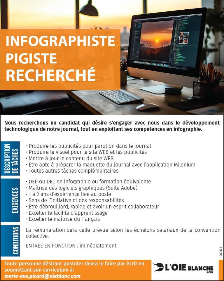 INFOGRAPHISTE PIGISTE