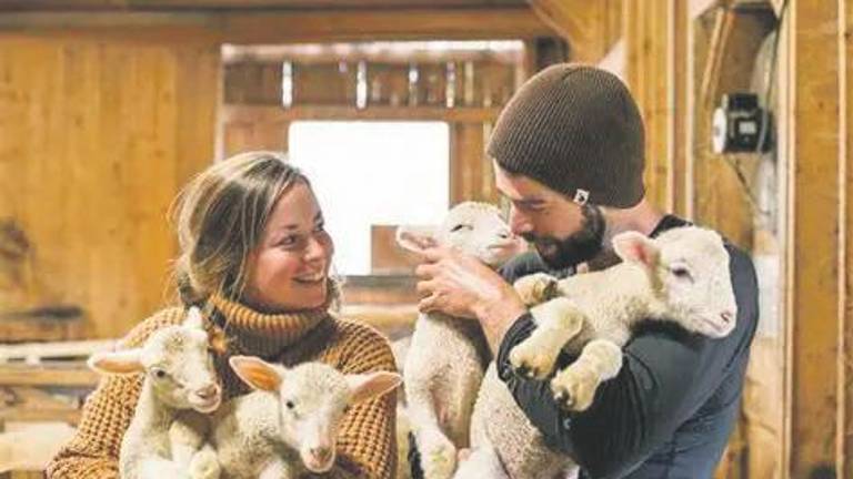 L’élevage de la Bergerie les Petites Laineuses. Crédit photo : JHA Lamontagne.