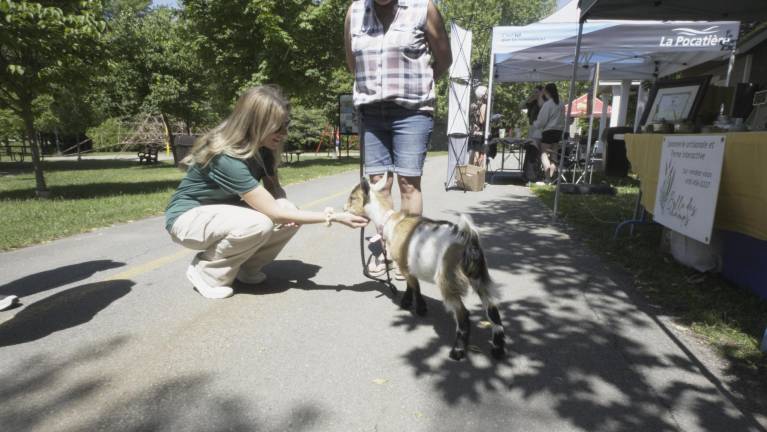 $!Tous les animaux étaient les bienvenus.